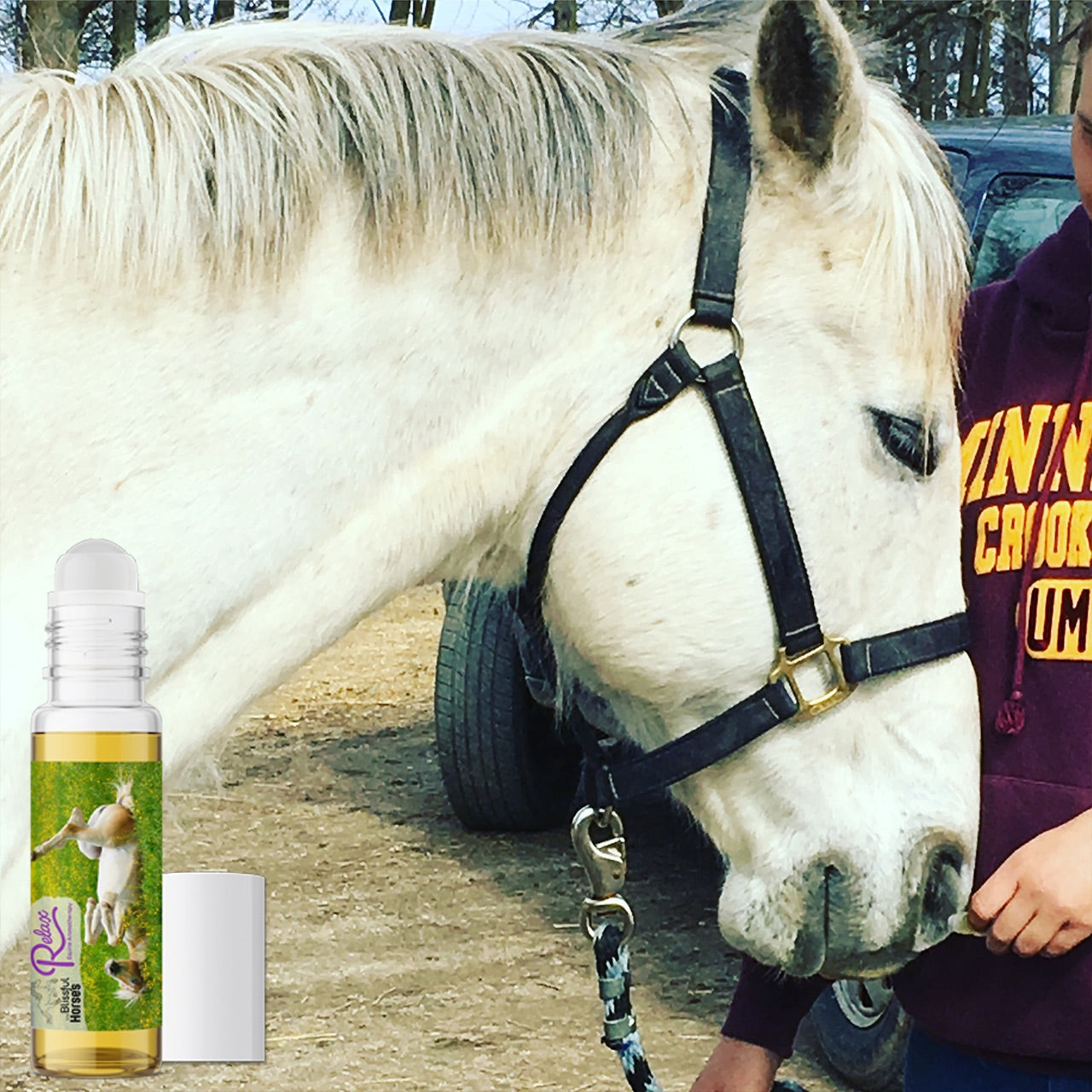 Relax Horse Aromatherapy Calms Spooked, High Strung Horses