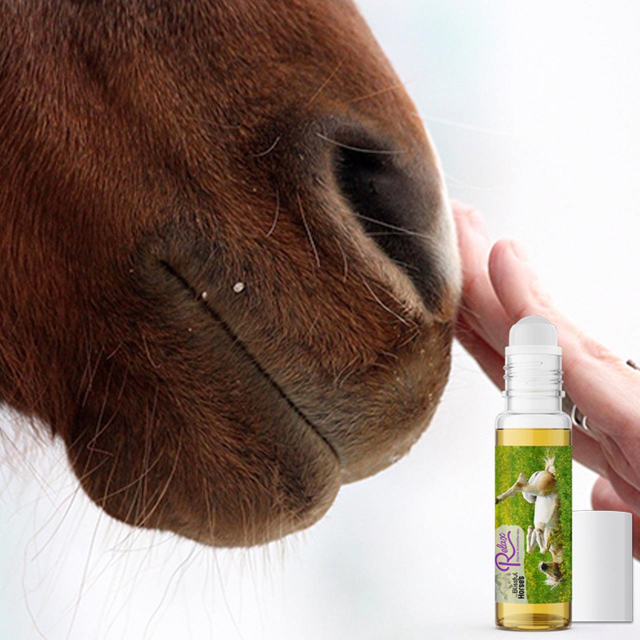 Relax Horse Aromatherapy Calms Spooked, High Strung Horses