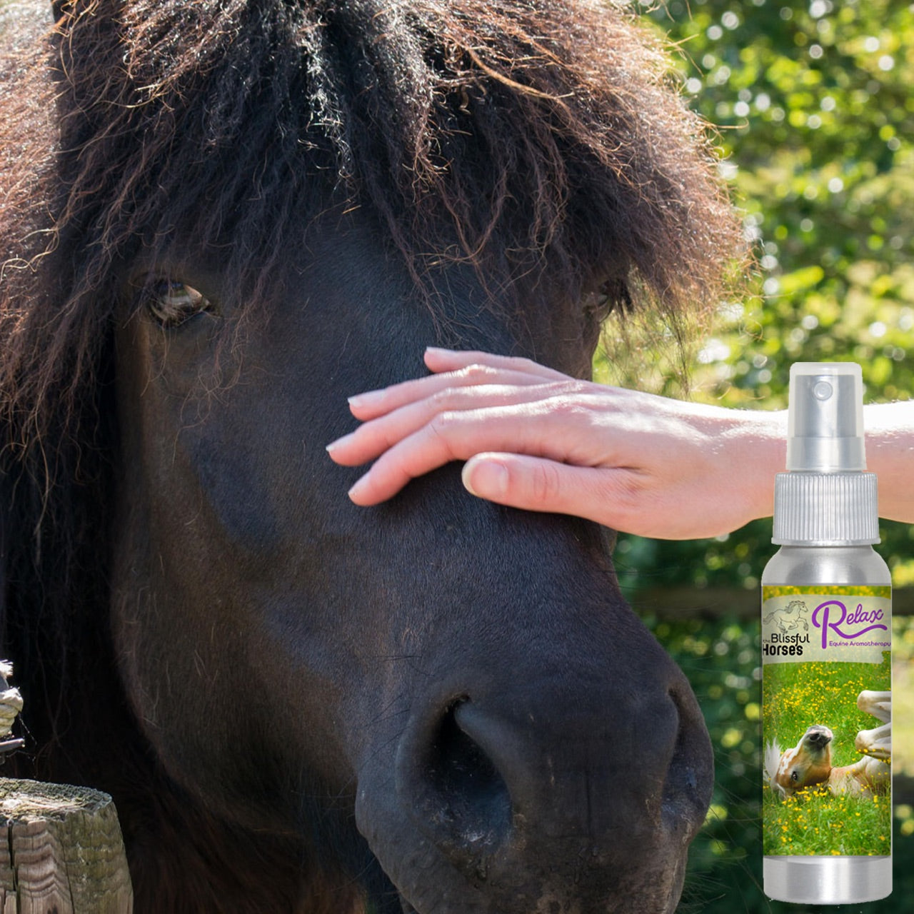 Relax Horse Aromatherapy Calms Spooked, High Strung Horses