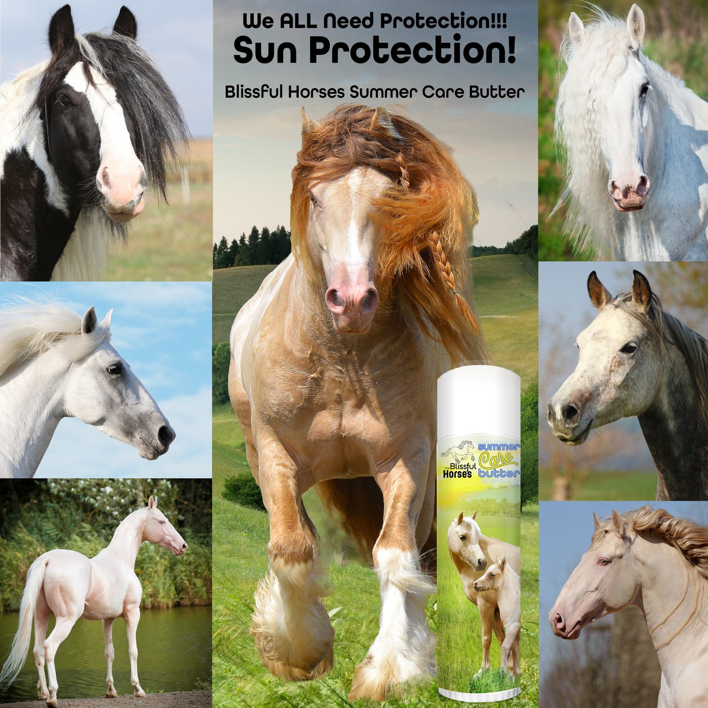 Blissful Butter Bundle for Horses