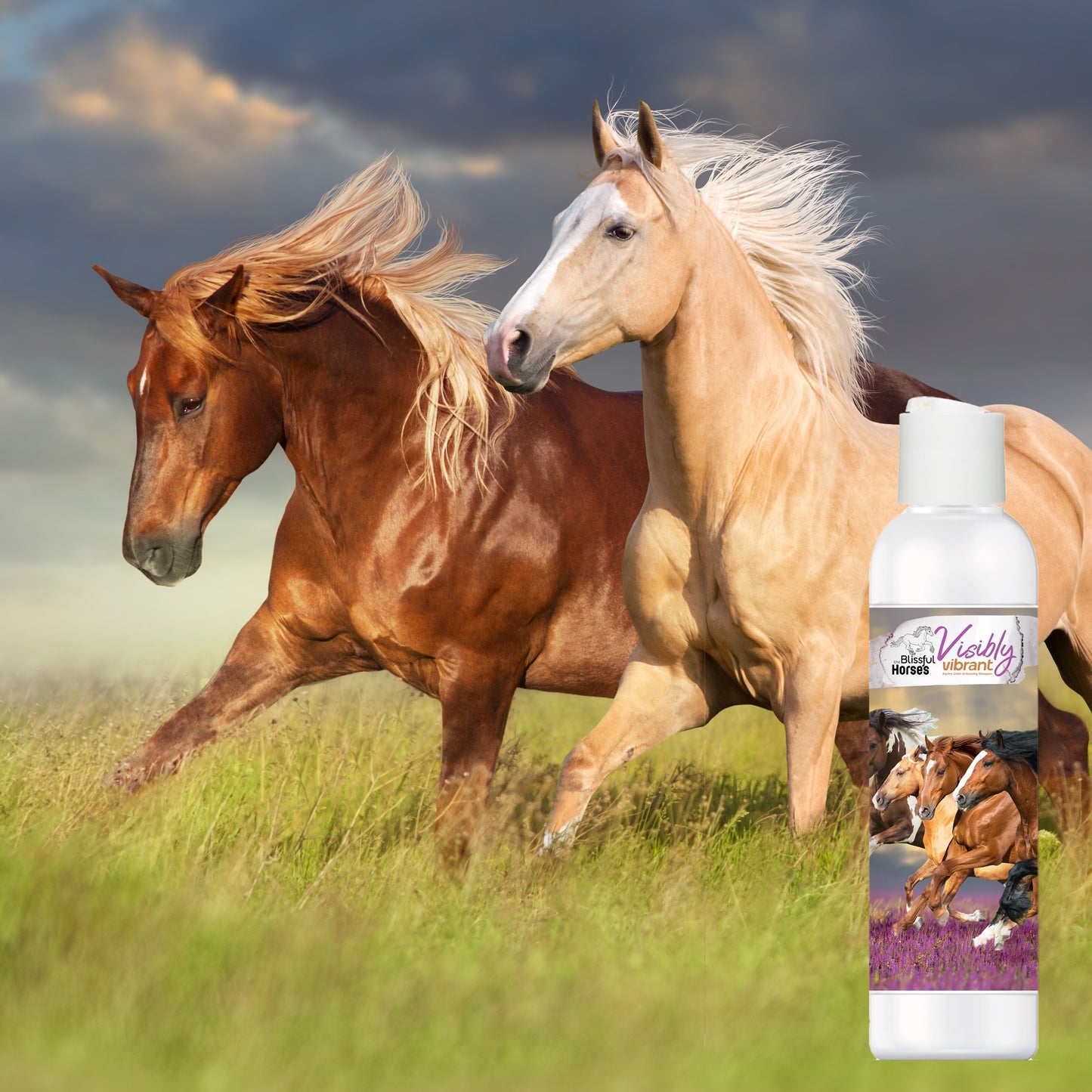 Visibly Vibrant Horse Shampoo