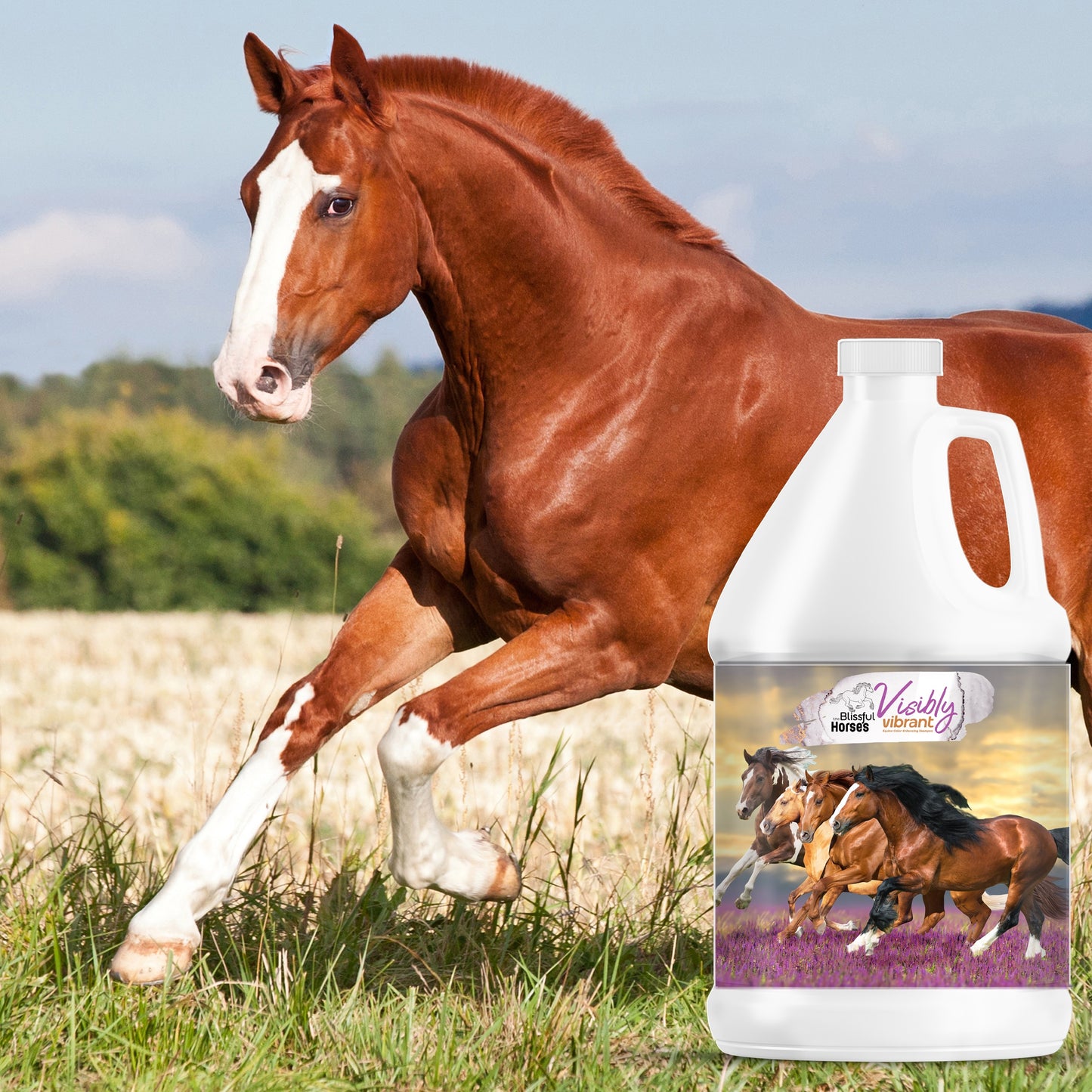 Visibly Vibrant Horse Shampoo