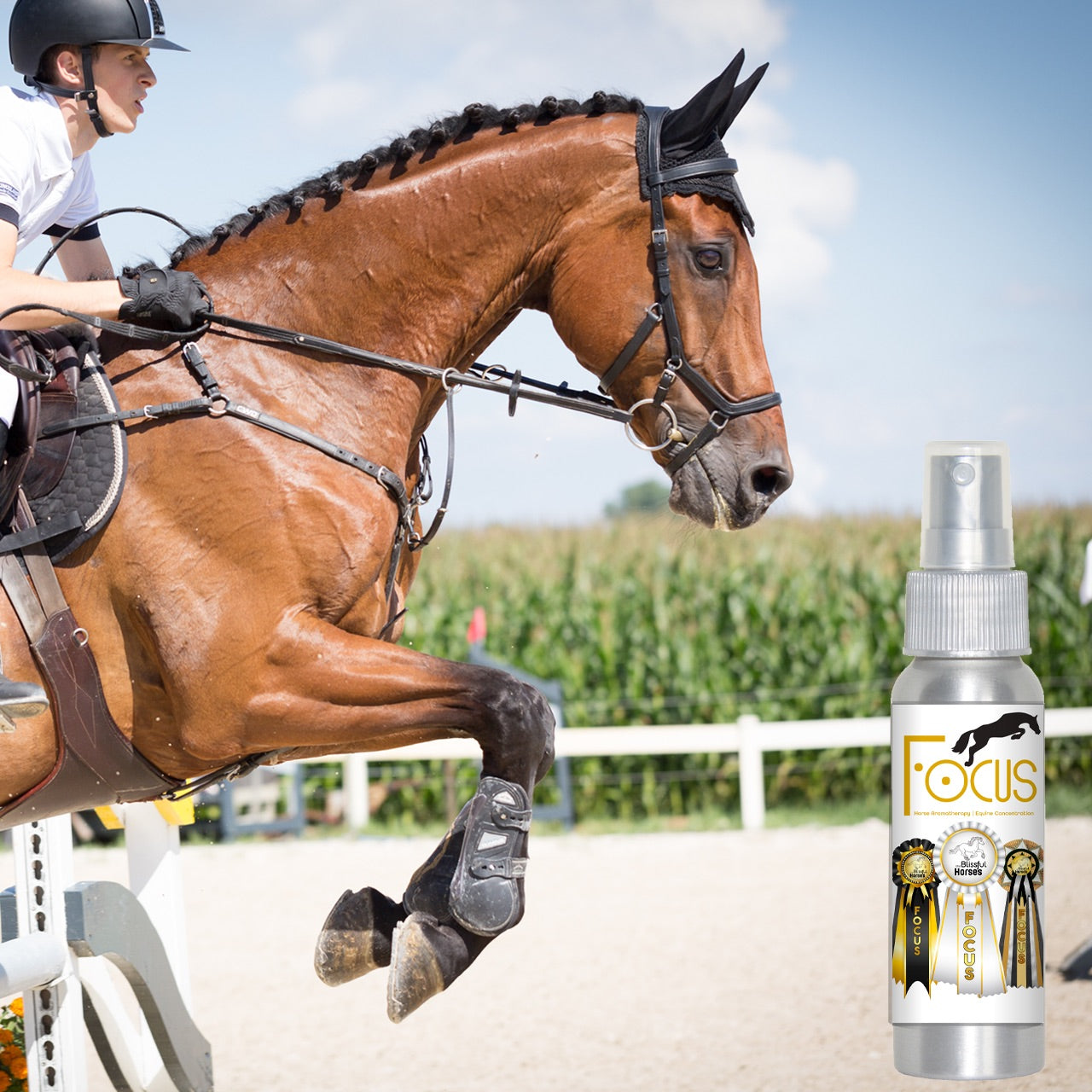 Focus Horse Aromatherapy