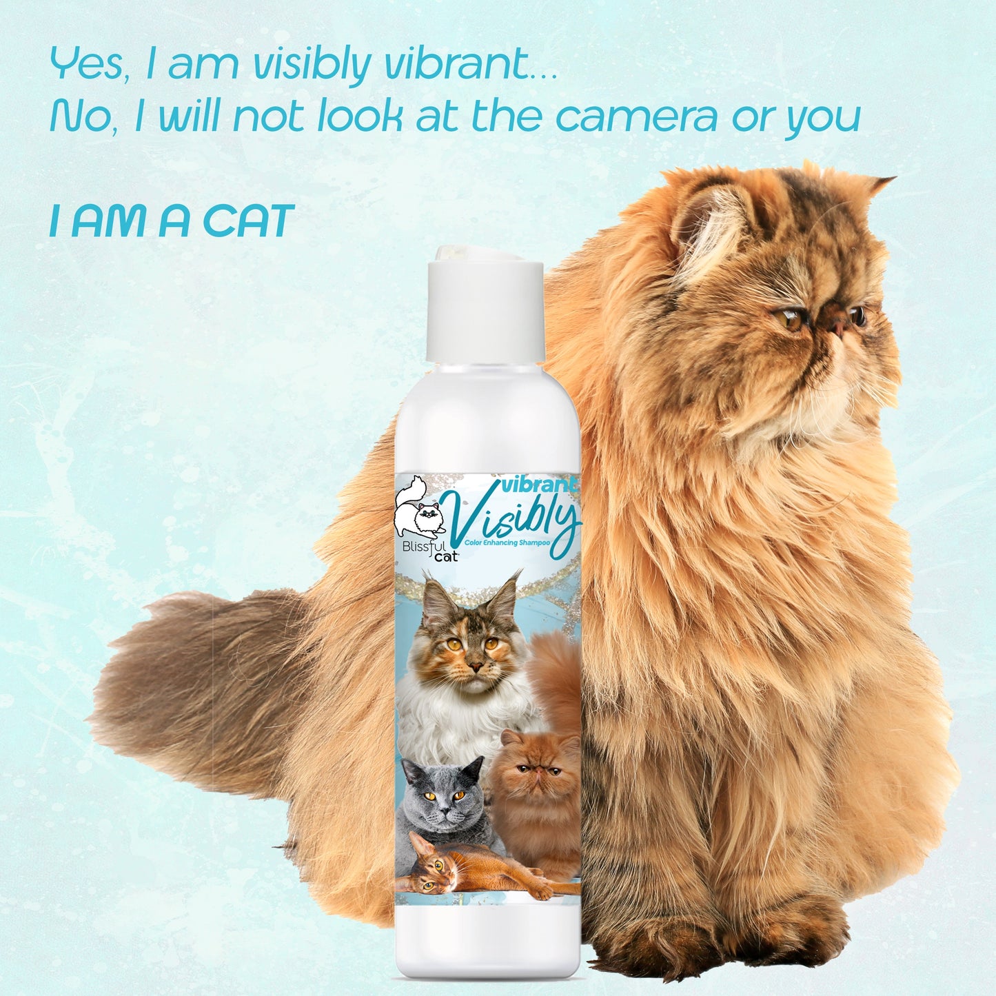 Visibly Vibrant Cat Shampoo