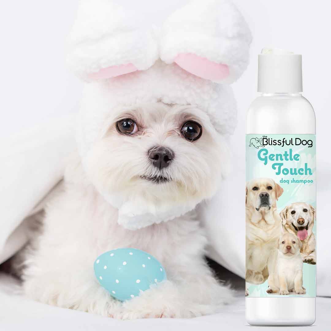 shampoo for dogs with sensitive skin