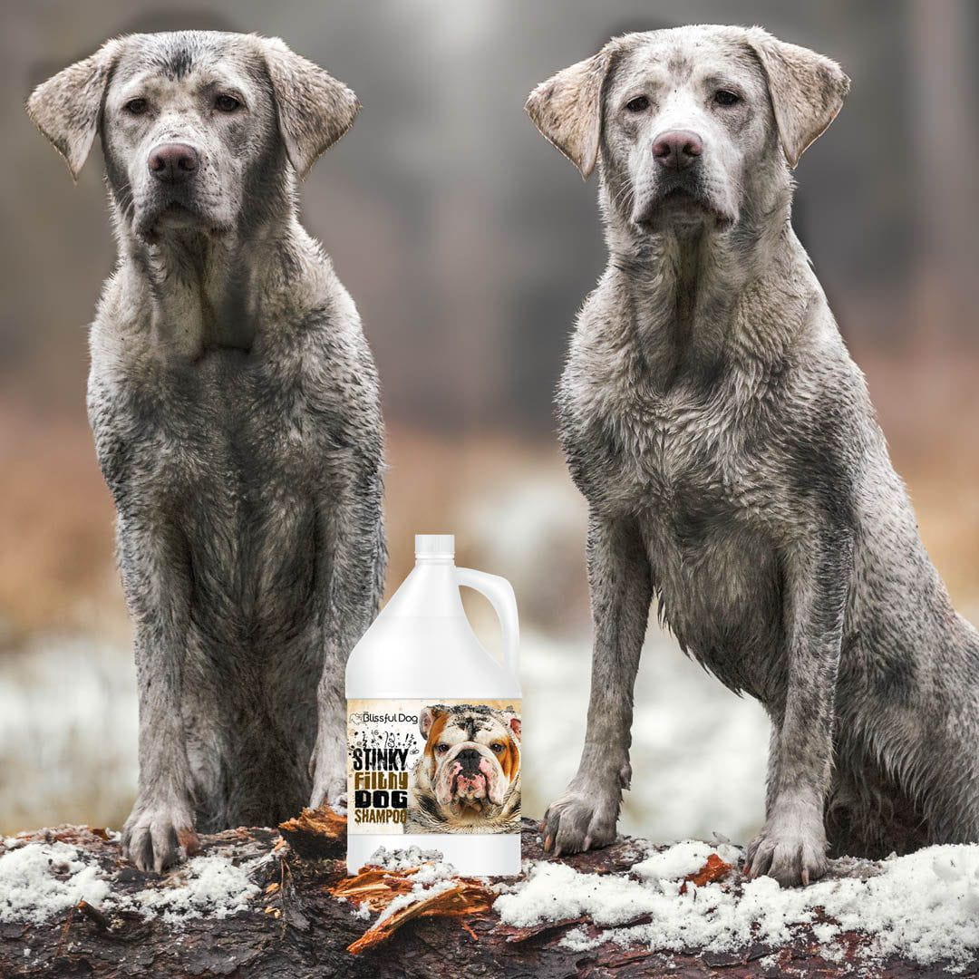 extra deep cleaning dog shampoo