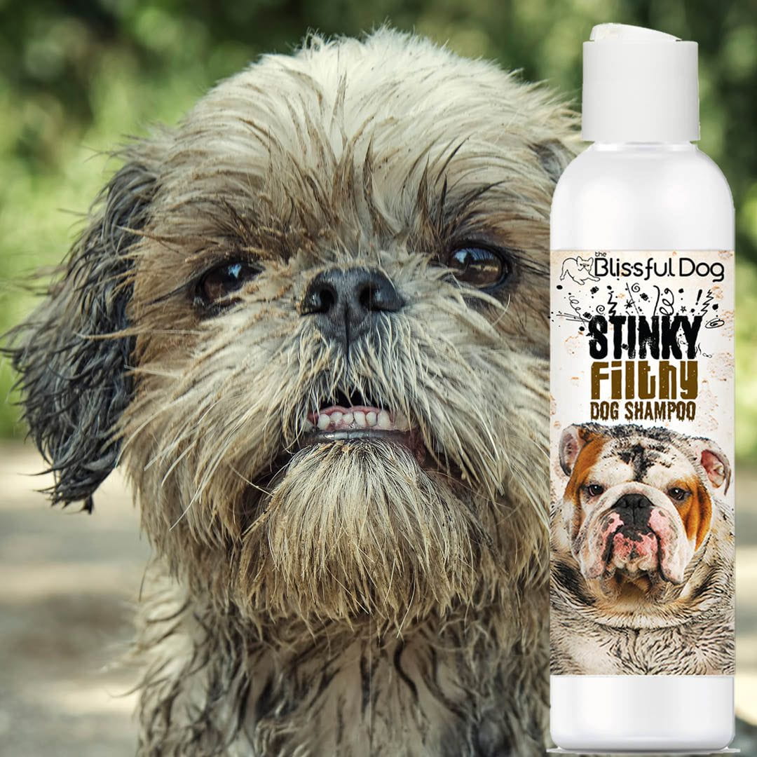 muddy dog shampoo