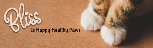 Caring for Your Cat's Paw Pads: Why Paw Butter Can Be a Game-Changer for Hyperkeratosis and Dry Paw Pads