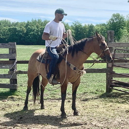 A City Boys Take on Grooming His Horse