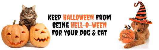 Keep HALLOWEEN From Being HELL-O-WEEN For Your Dog & Cat