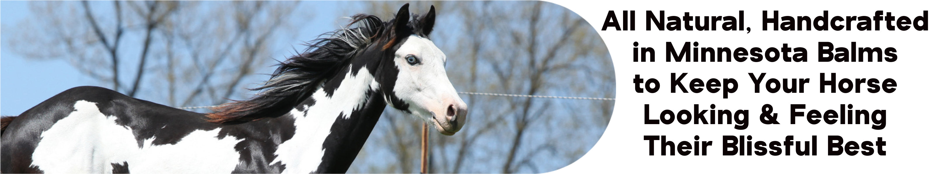 Equine Moisturizing Butters