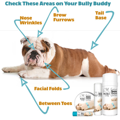 Blissfully Fresh® Face Wash Combo Kit