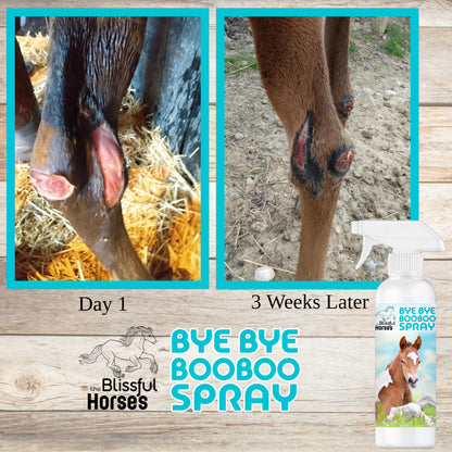 Bye Bye Boo Boo® Spray For Your Horses Skin Irritations