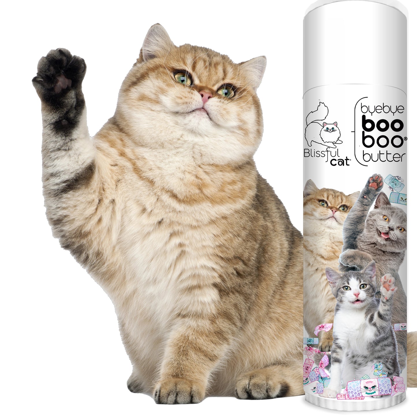 Bye Bye Boo Boo® Butter | Blissful Cat®