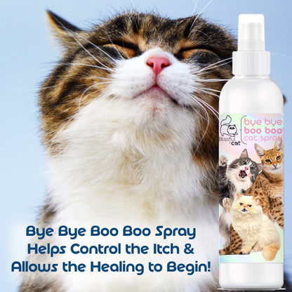 skin care for cats