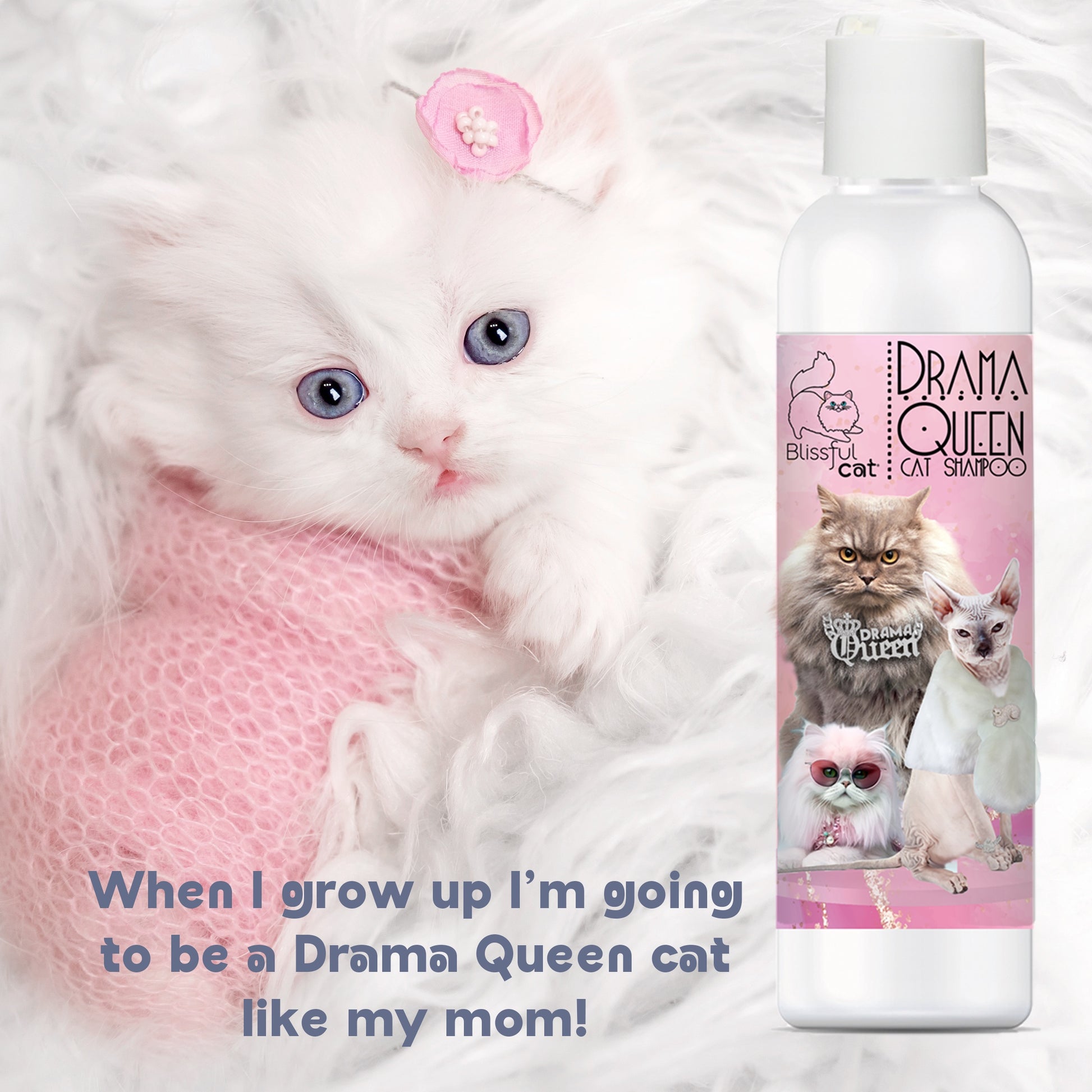 The Blissful Cat Drama Queen Cat Shampoo for Your Demanding Diva