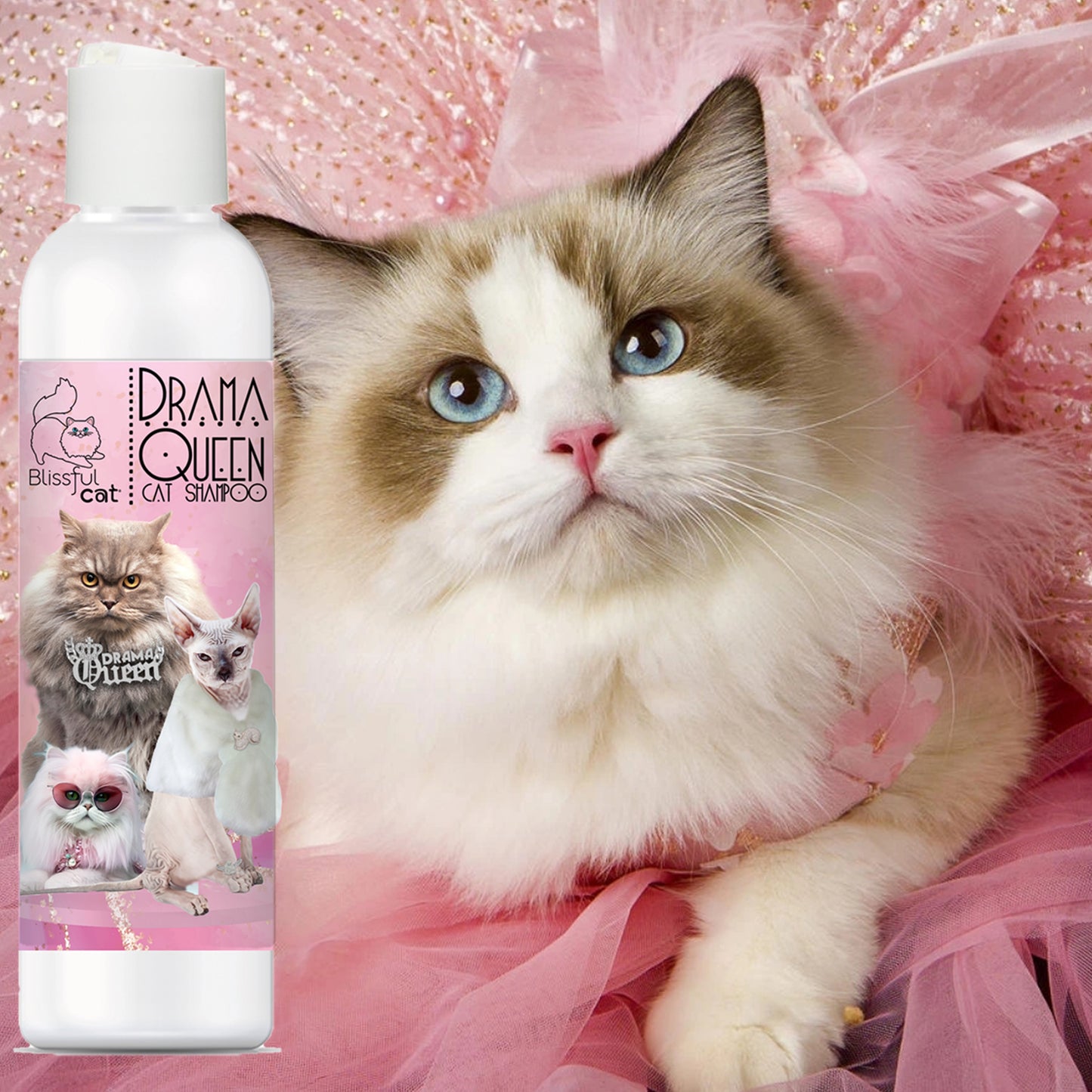 drama queen shampoo for cats