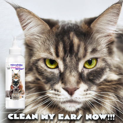 Blissfully Fresh® Cat Ear Cleaner