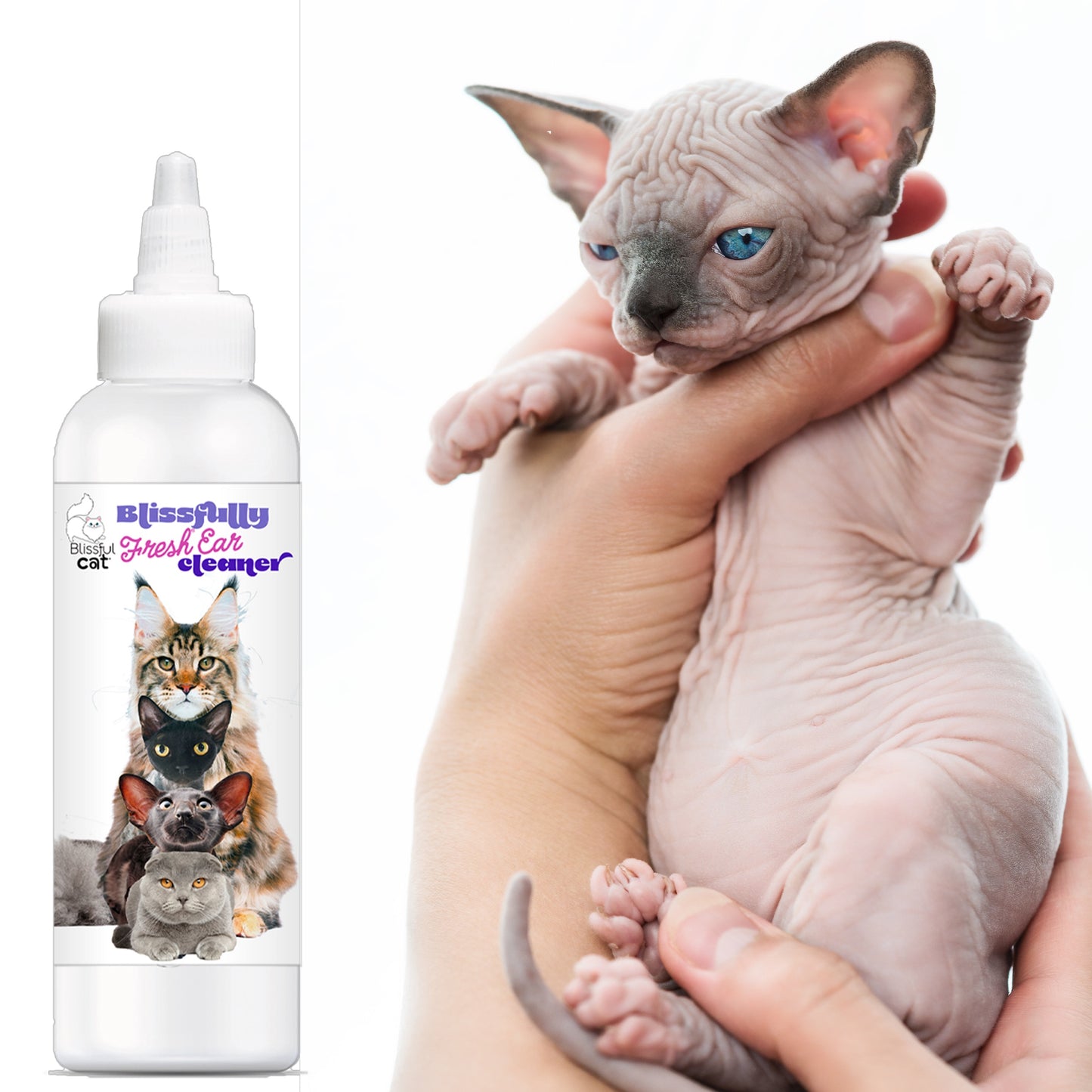 Blissfully Fresh® Cat Ear Cleaner