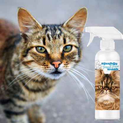 Blissfully Fresh® Face Wash for Cats