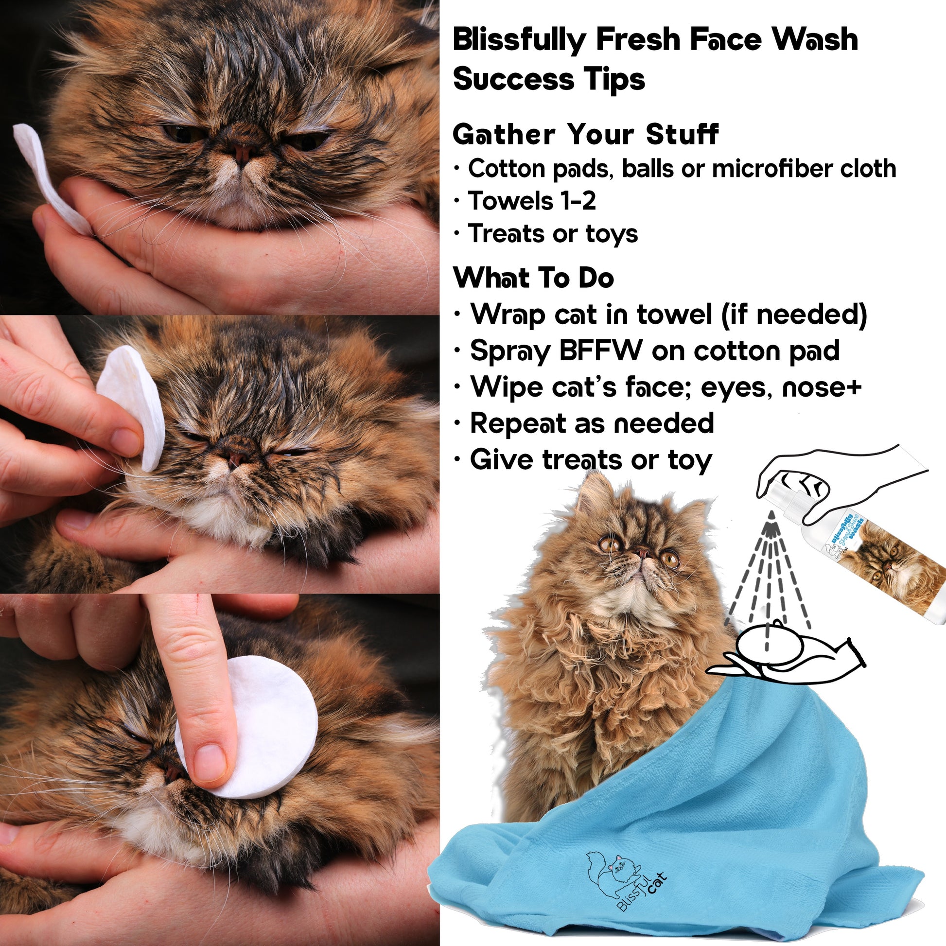 cat face wash