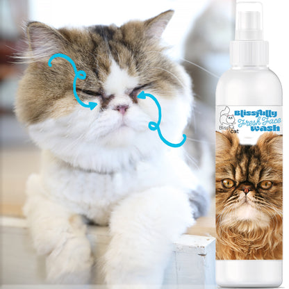 Blissfully Fresh® Face Wash for Cats