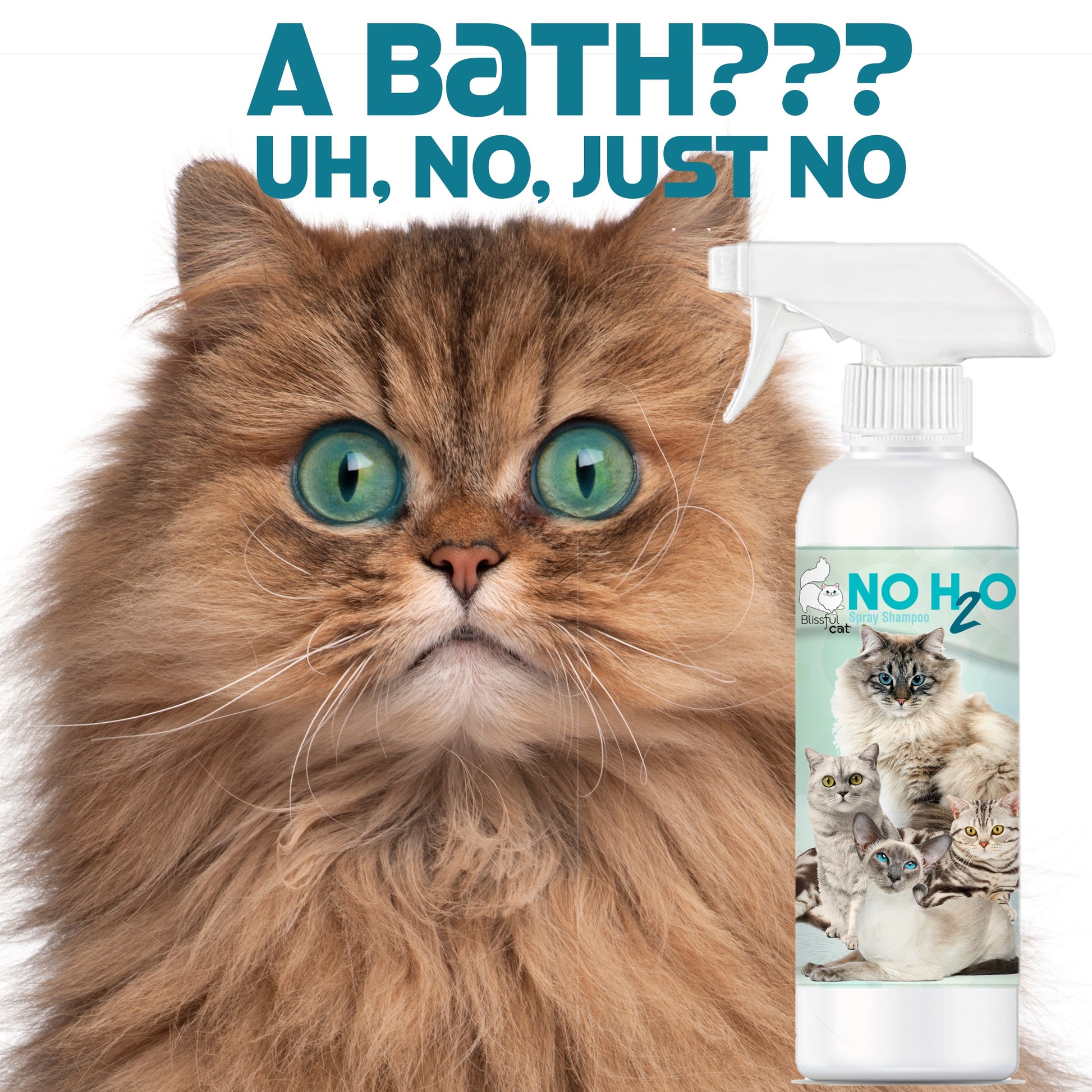 Cat Spray Shampoo for quick bath