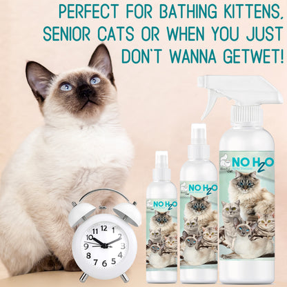 NO H20 Spray Shampoo | The Blissful Cat