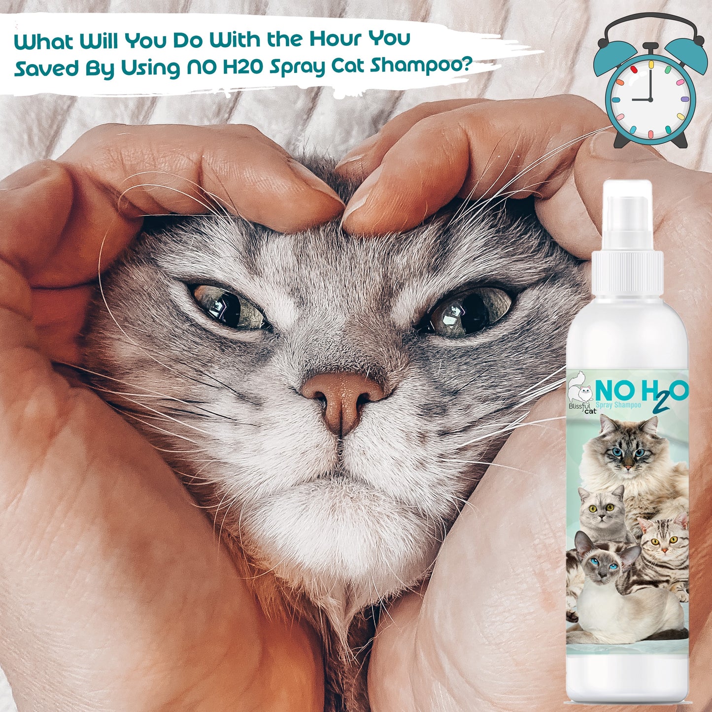 NO H20 Spray Shampoo | The Blissful Cat