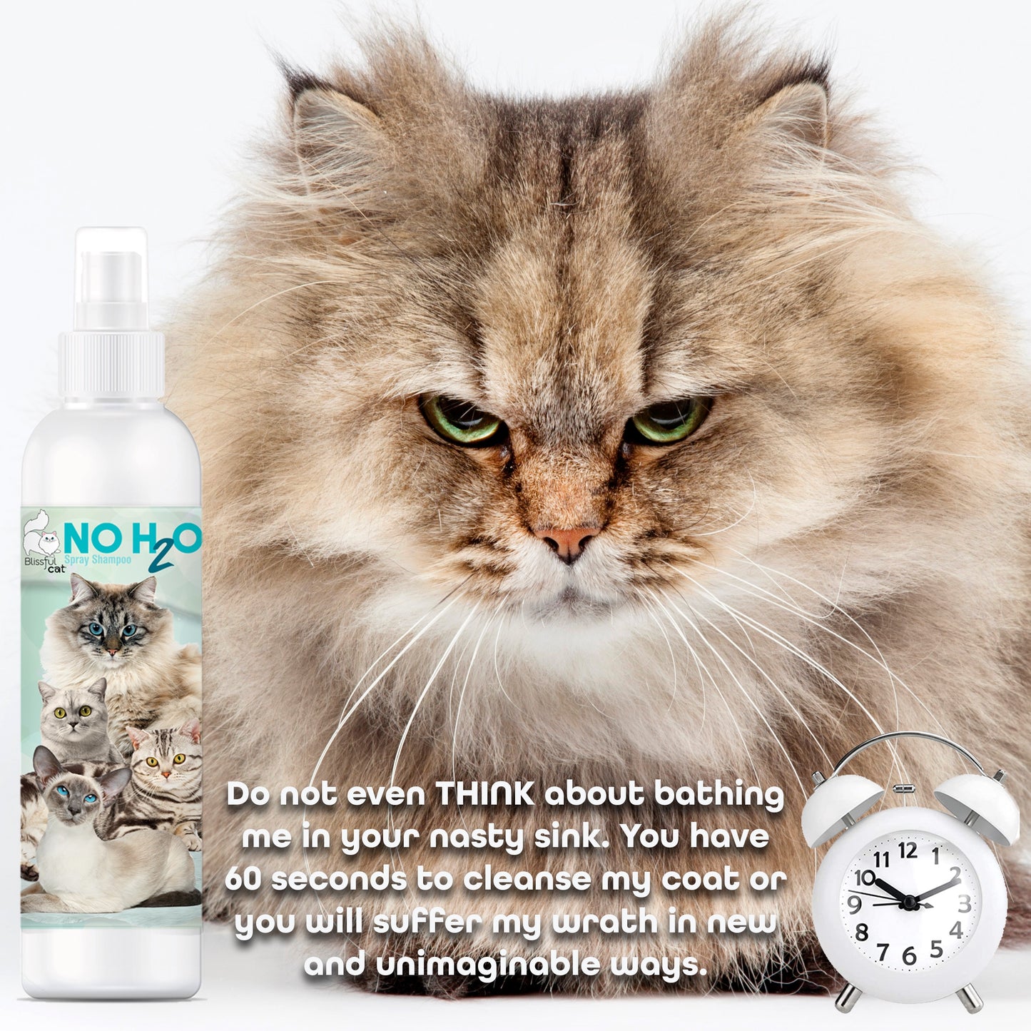 NO H20 Spray Shampoo | The Blissful Cat
