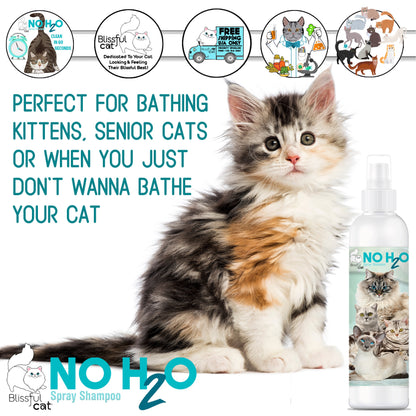 NO H20 Spray Shampoo | The Blissful Cat