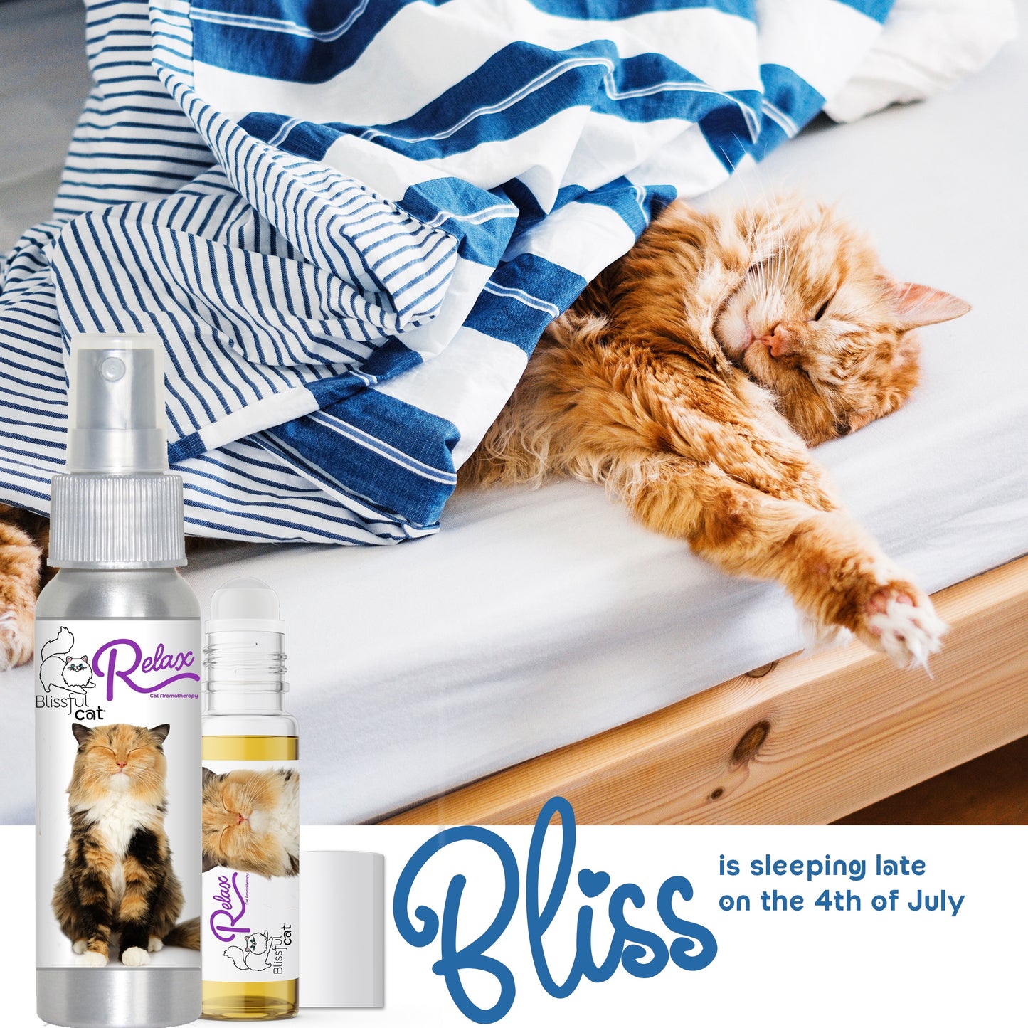 Relax Cat Aromatherapy