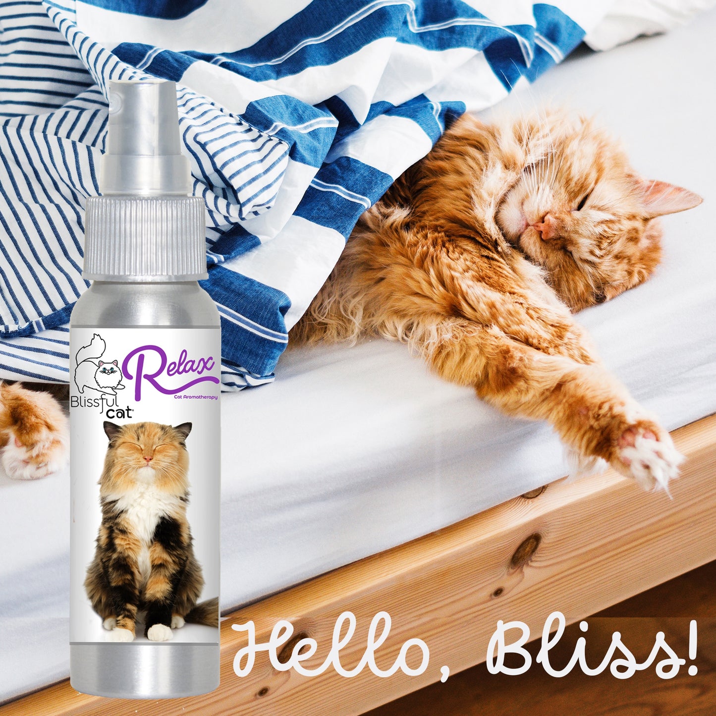 Relax Cat Aromatherapy