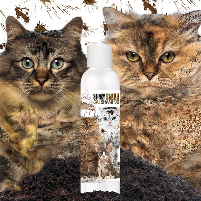 smelly cat shampoo for stinky cats