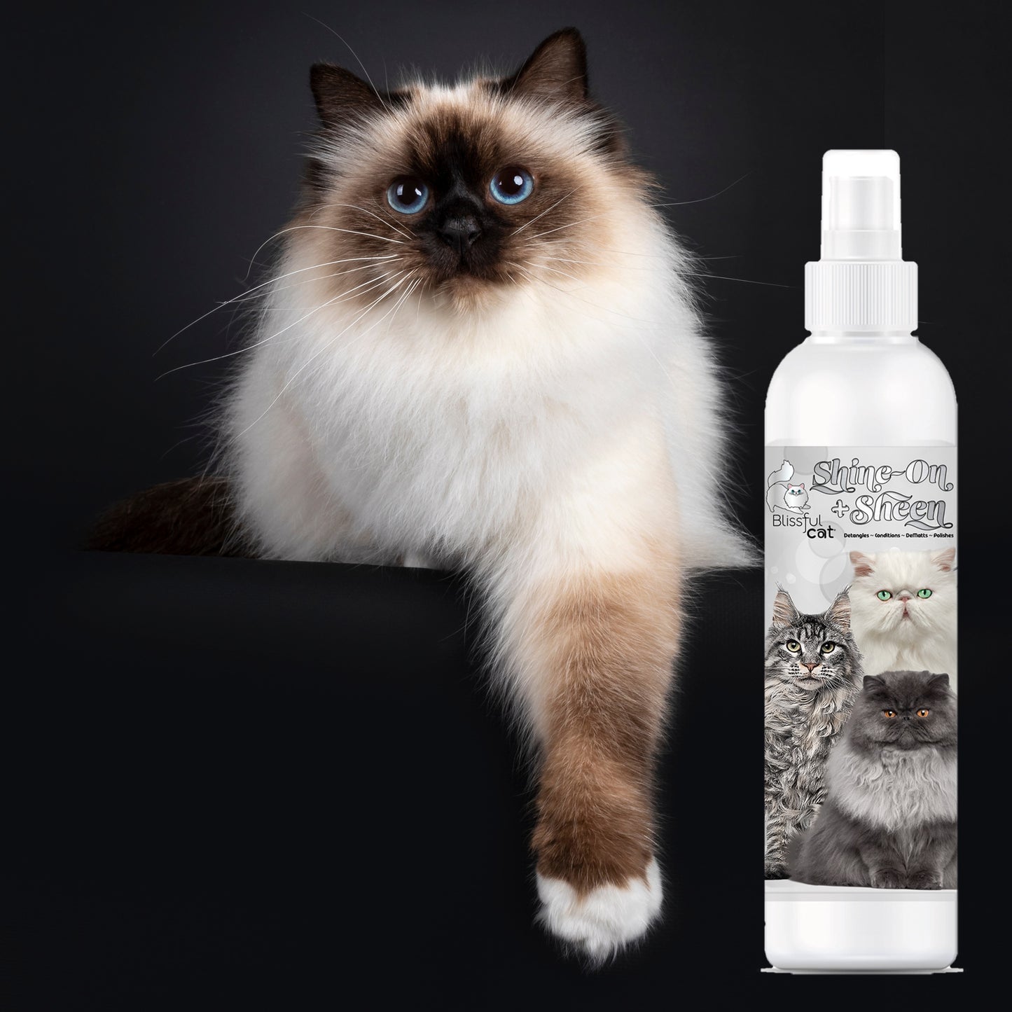 De-tangling Cat Coat Spray