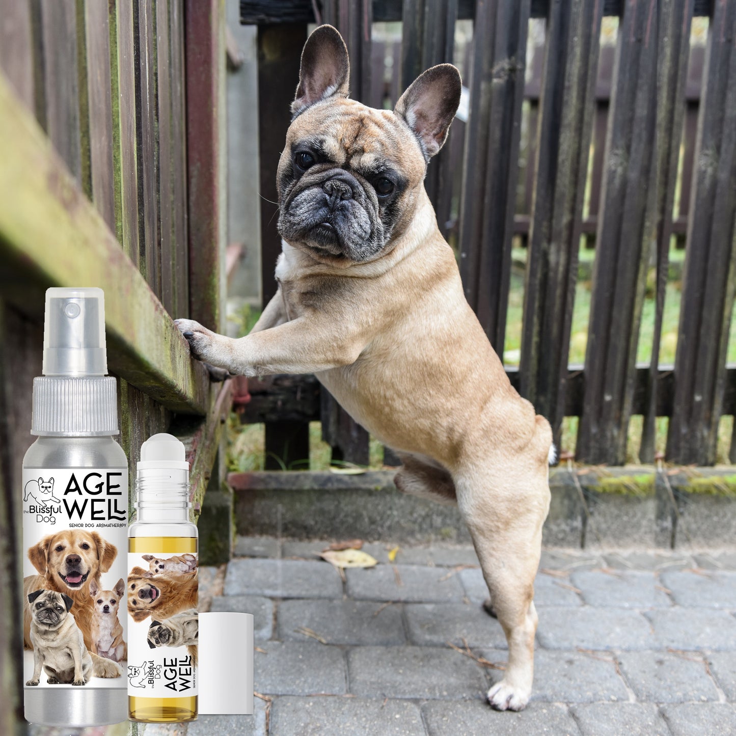 Age Well Dog Aromatherapy