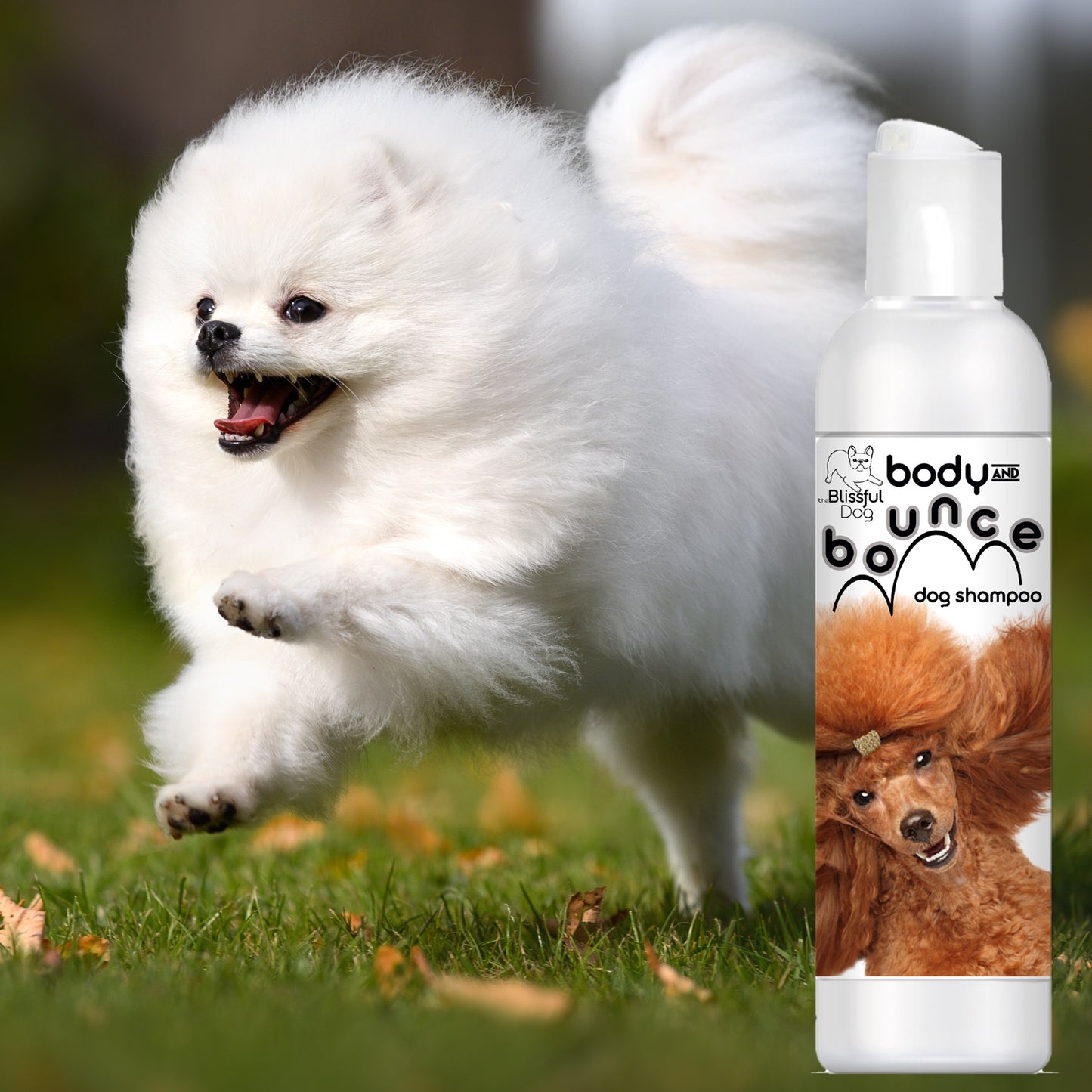 Body & Bounce Dog Shampoo