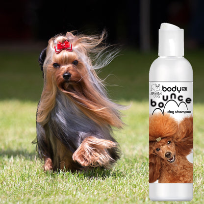 Body & Bounce Dog Shampoo