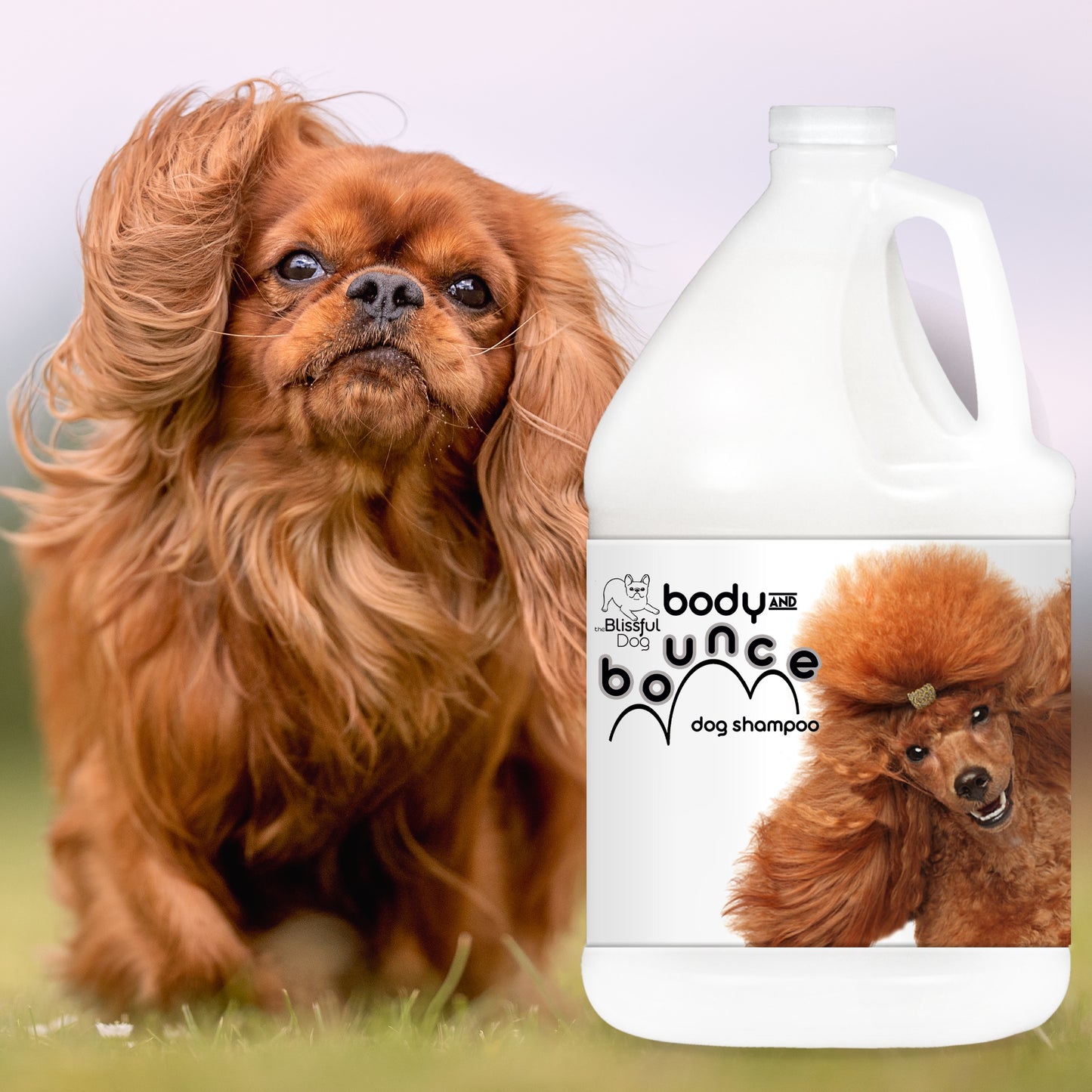 Body & Bounce Dog Shampoo