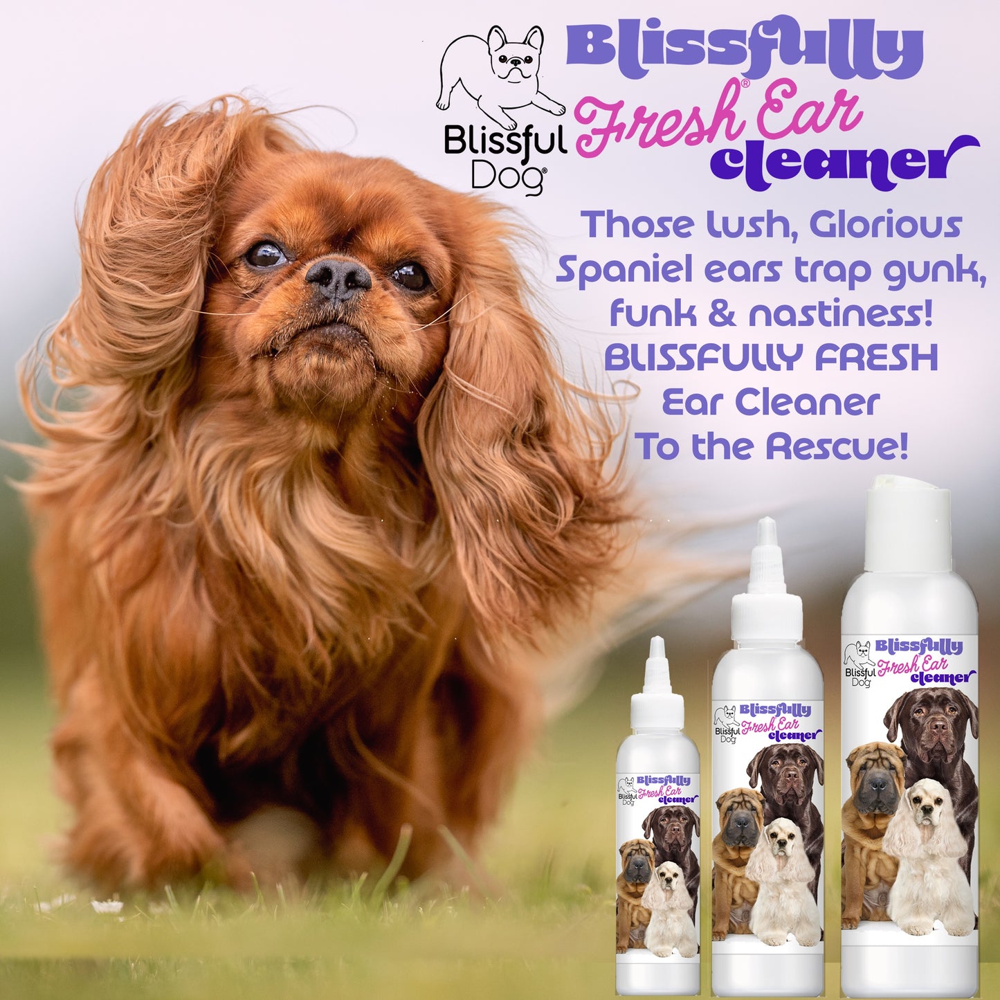 Blissfully Fresh® Dog Ear Cleaner