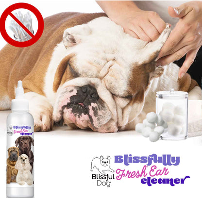 Blissfully Fresh® Dog Ear Cleaner