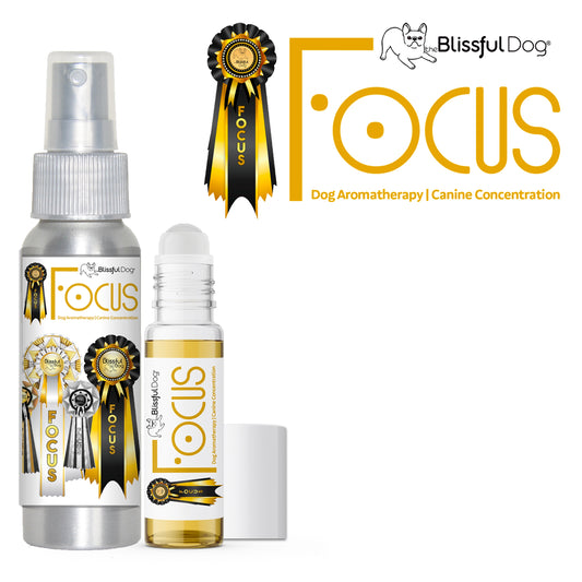 Focus Dog Aromatherapy