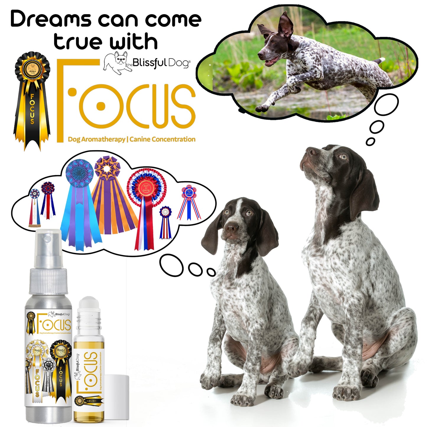 Focus Dog Aromatherapy