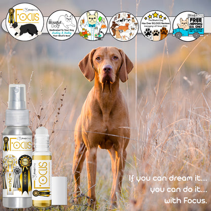 Focus Dog Aromatherapy