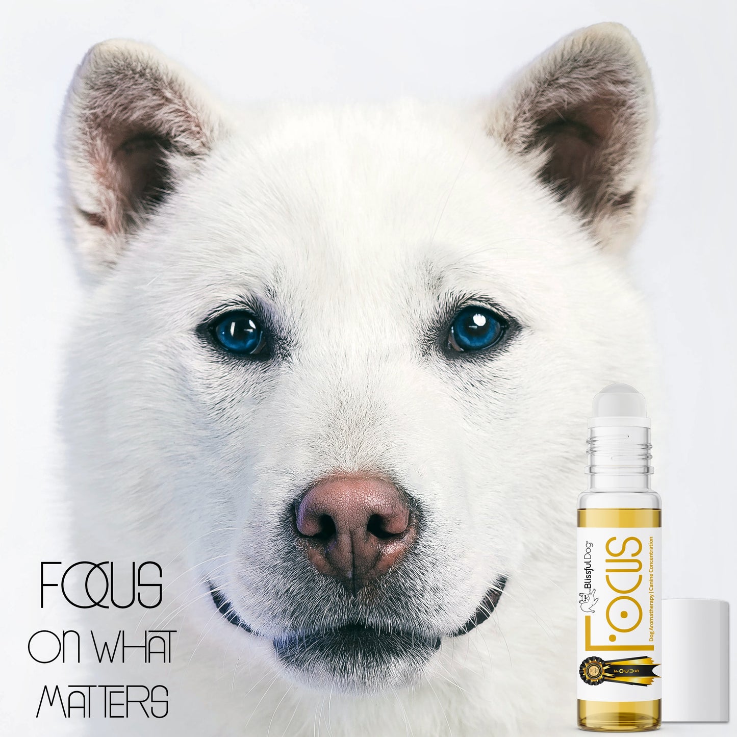 Focus Dog Aromatherapy