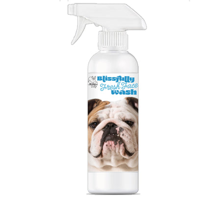 Blissfully Fresh® Face Wash