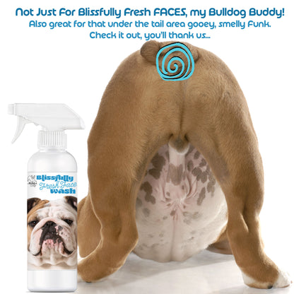 Blissfully Fresh® Face Wash