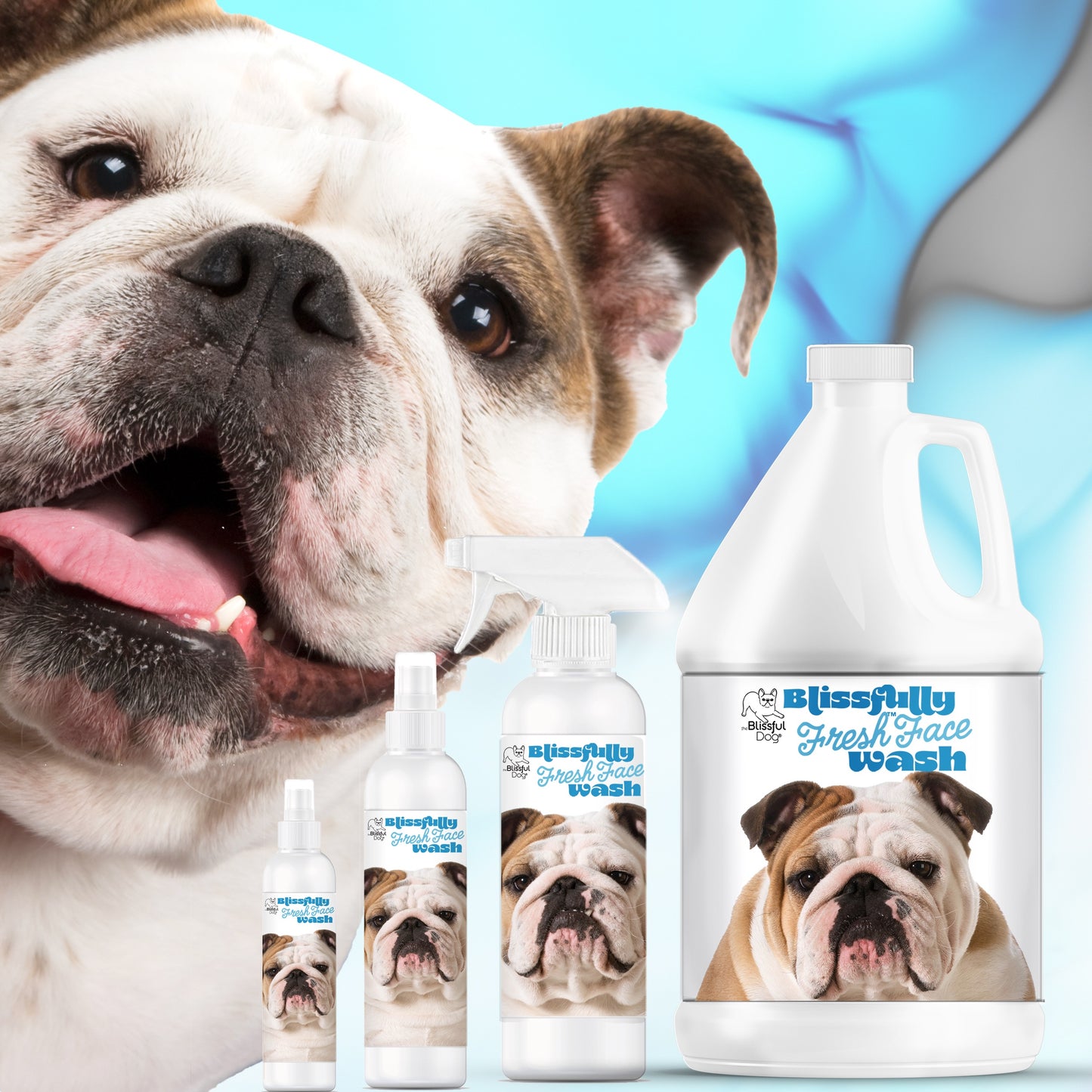 Blissfully Fresh® Face Wash