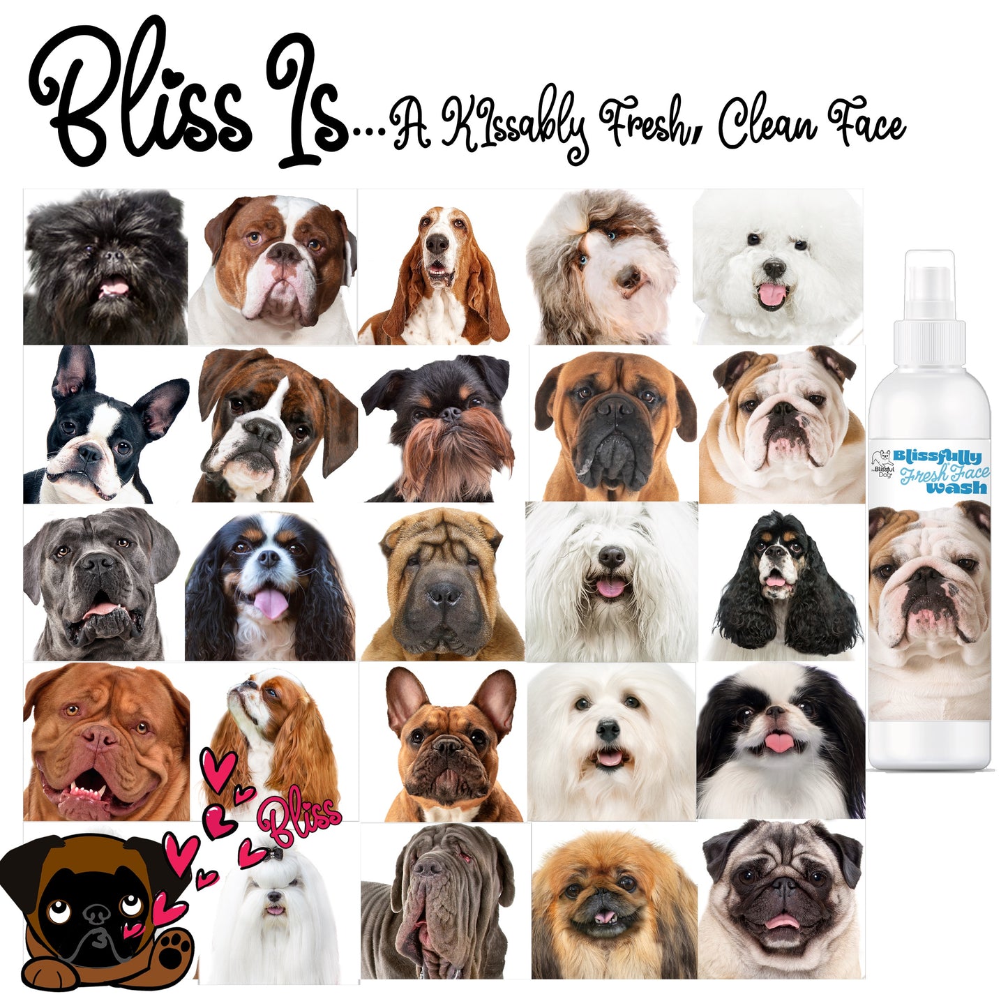 Blissfully Fresh® Face Wash