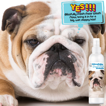 Blissfully Fresh® Face Wash